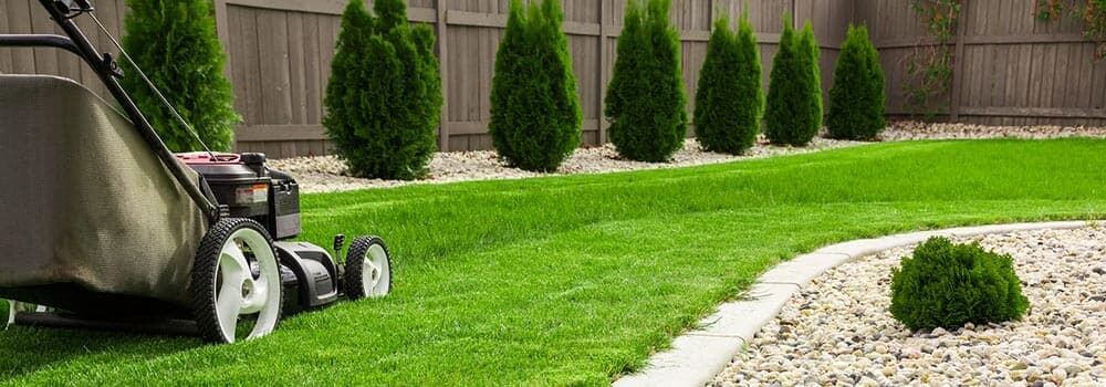 Best Yard Clean Up in Renton, WA 98059