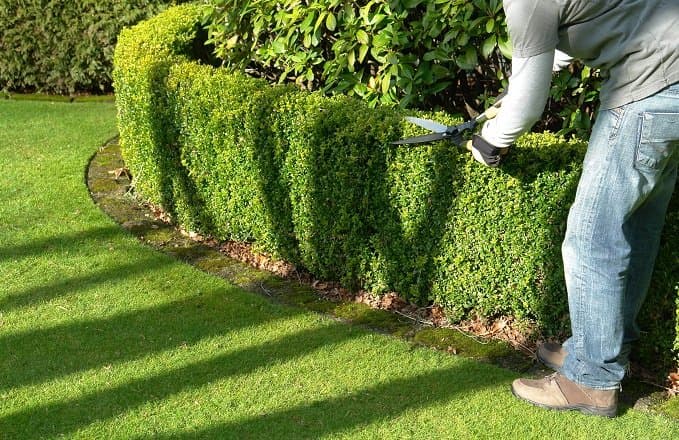 Best Yard Maintenance in Renton, WA 98059